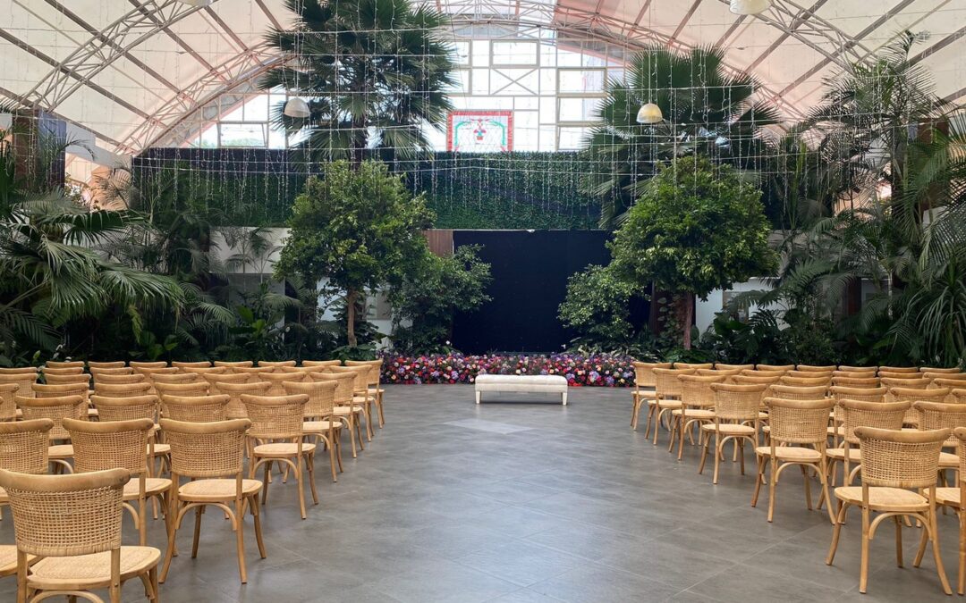 Evento a domicilio – Árboles